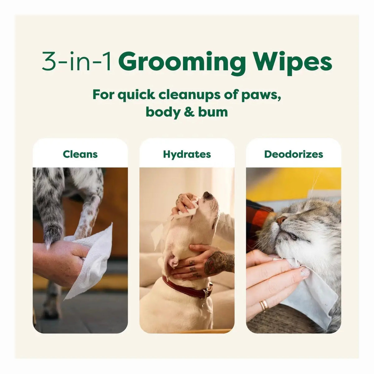 Earth Rated Dog Grooming Wipes Infused with White Tea & Basil - 100 Count