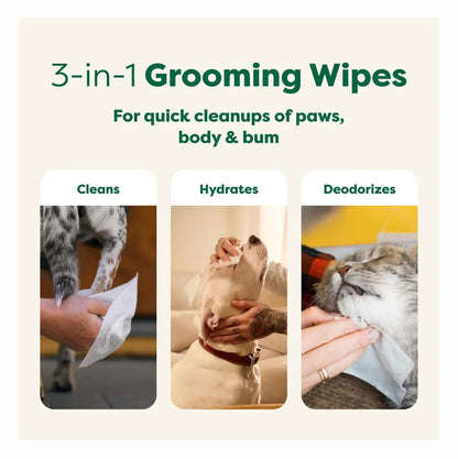 Earth Rated Dog Grooming Wipes Infused with White Tea & Basil - 100 Count