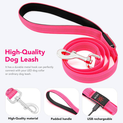 USB Rechargeable LED Illuminated Dog Leash (4ft, Pink)