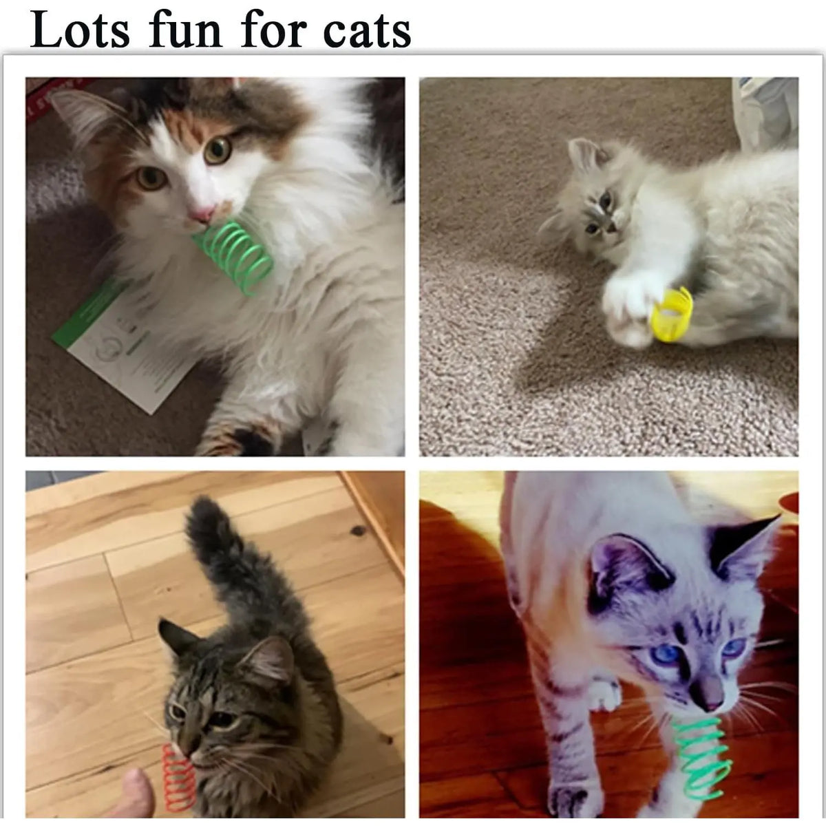 Interactive Indoor Cat Spring Toys - 12-Piece Engaging Bouncy Coil Set for Play and Stimulation