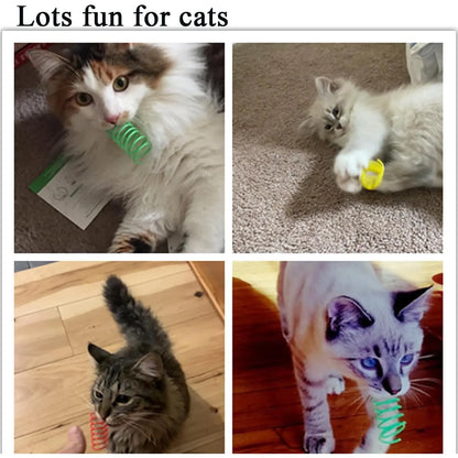 Interactive Indoor Cat Spring Toys - 12-Piece Engaging Bouncy Coil Set for Play and Stimulation