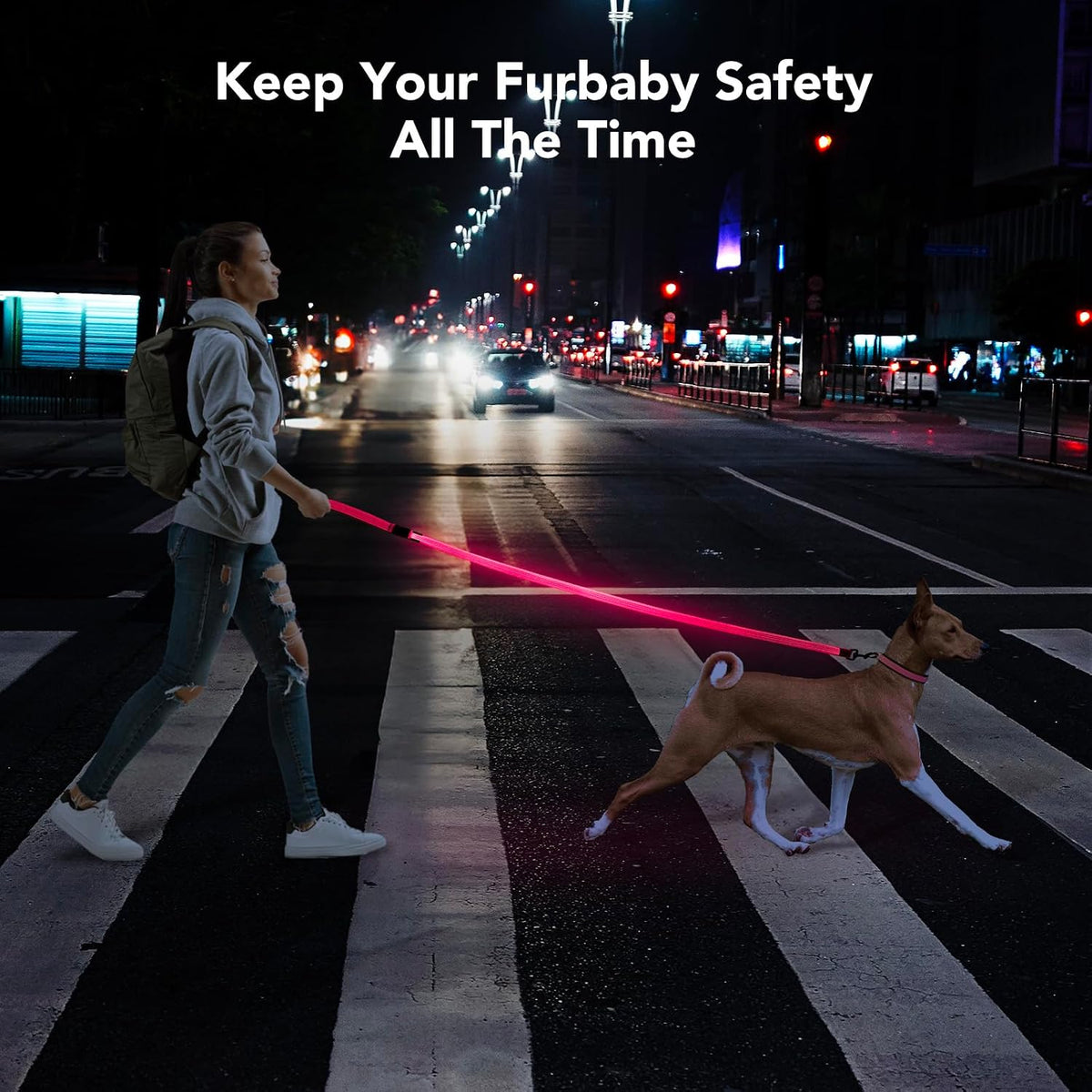 USB Rechargeable LED Illuminated Dog Leash (4ft, Pink)