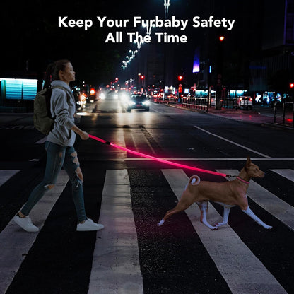 USB Rechargeable LED Illuminated Dog Leash (4ft, Pink)