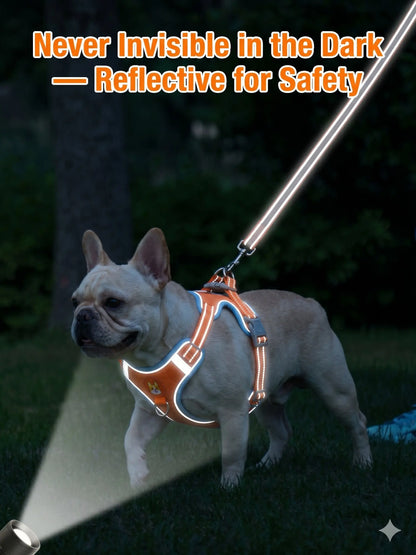 Adjustable Pet Harness and Leash Set - Soft Suede Vest with Durable Reflective Features for Tangle-Free Walking, Perfect for Daily and Nighttime Outdoor Activities