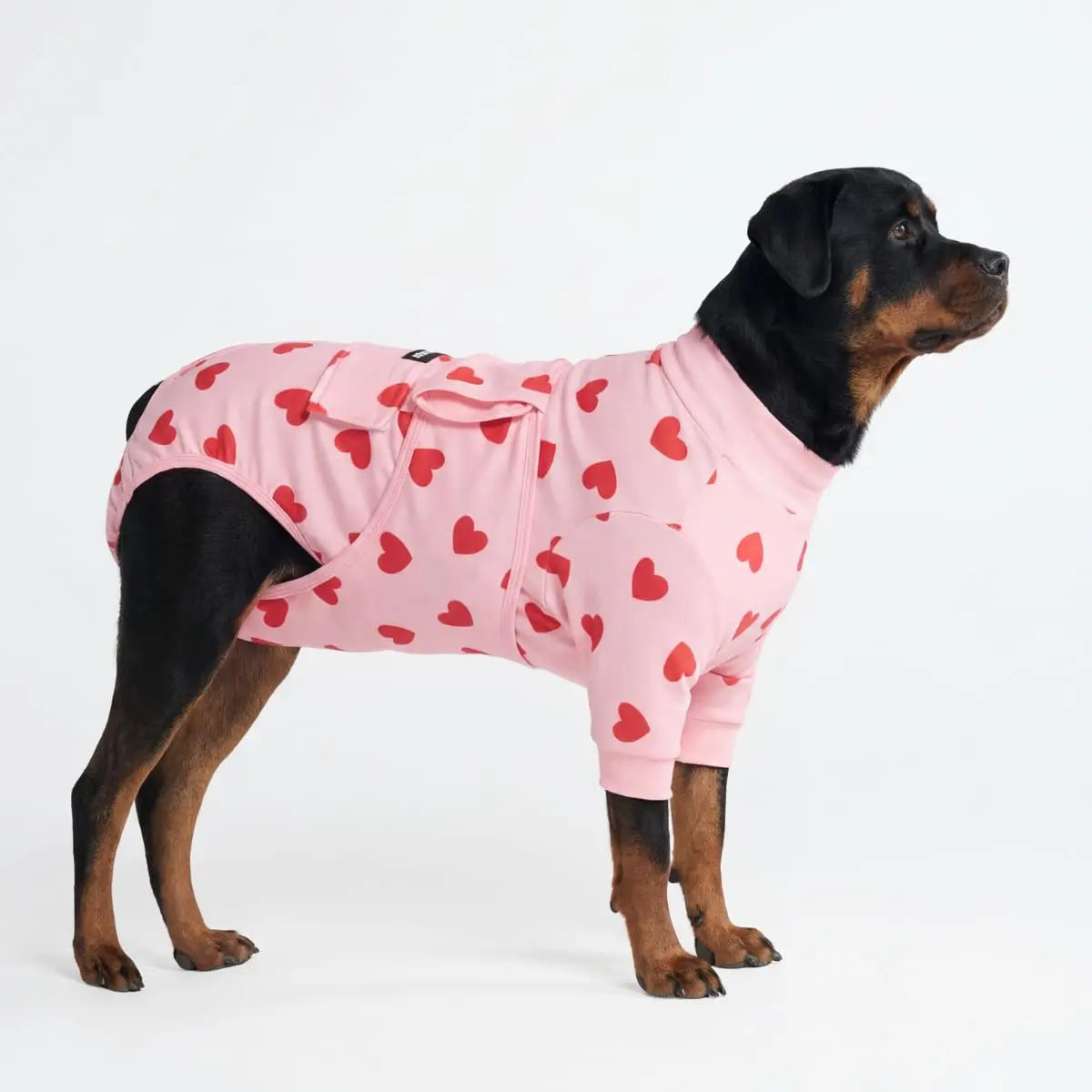 Spark Paws Dog Recovery Suit - Post-Surgery Onesie for Dogs, Anti-Lick Abdominal Wound Protector, Soft Alternative to Cone for Spay/Neuter Recovery, Donut Pattern, Size Small