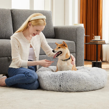 Sweetcrispy Contemporary Orthopedic Memory Foam Pet Bed for Large Dogs with 3-Sided Bolsters - 20"L x 24"W x 8"Th, Pressure Relief, Supportive Design, Washable Cover, Non-Slip Base, Waterproof