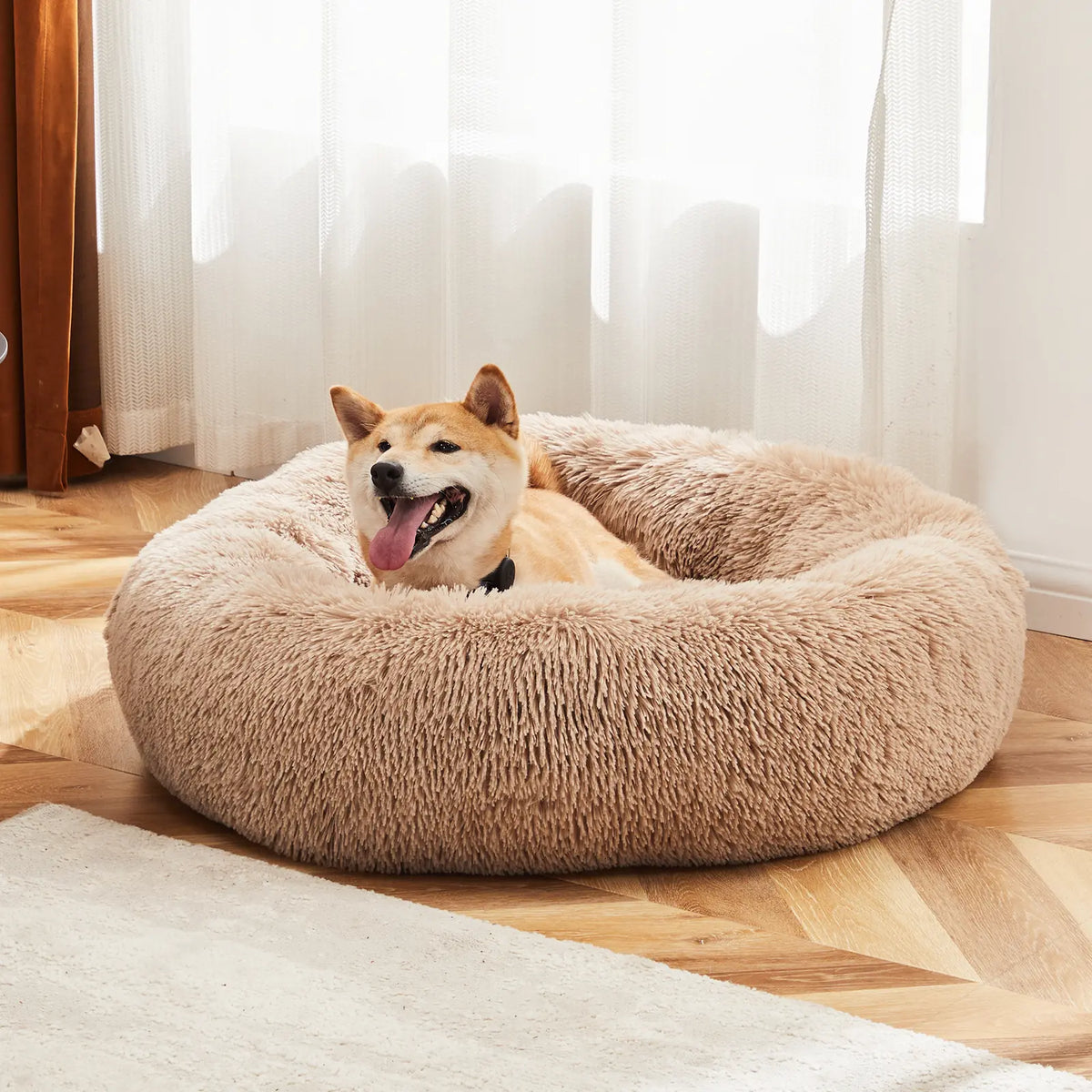 Sweetcrispy Contemporary Orthopedic Memory Foam Pet Bed for Large Dogs with 3-Sided Bolsters - 20"L x 24"W x 8"Th, Pressure Relief, Supportive Design, Washable Cover, Non-Slip Base, Waterproof