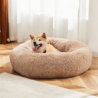 Sweetcrispy Contemporary Orthopedic Memory Foam Pet Bed for Large Dogs with 3-Sided Bolsters - 20"L x 24"W x 8"Th, Pressure Relief, Supportive Design, Washable Cover, Non-Slip Base, Waterproof