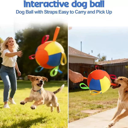 18-Inch PVC Geometric Herding Ball Toy for Dogs - Durable, Bite-Resistant Design with Reinforced Stitching, Ideal Gift for Medium Dogs and Horses, Dual-Layer Construction