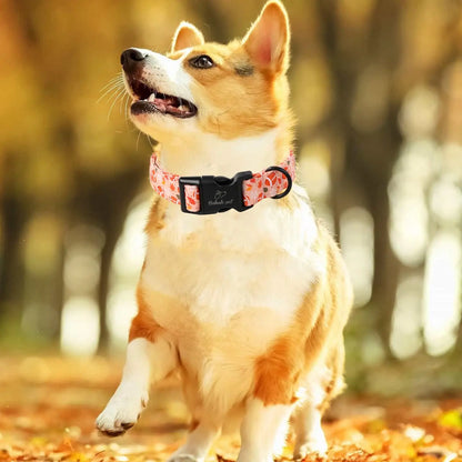 Amber Fall Pumpkin Cotton Dog Collar - Lightweight, Adjustable, and Durable with Plastic Buckle for Small Dogs, 5/8" Wide, Fits Necks 8-12", Chew Resistant, Hand Wash Only