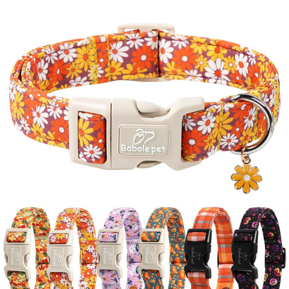 Amber Fall Pumpkin Cotton Dog Collar - Lightweight, Adjustable, and Durable with Plastic Buckle for Small Dogs, 5/8" Wide, Fits Necks 8-12", Chew Resistant, Hand Wash Only
