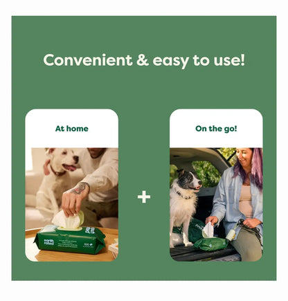 Earth Rated Dog Grooming Wipes Infused with White Tea & Basil - 100 Count