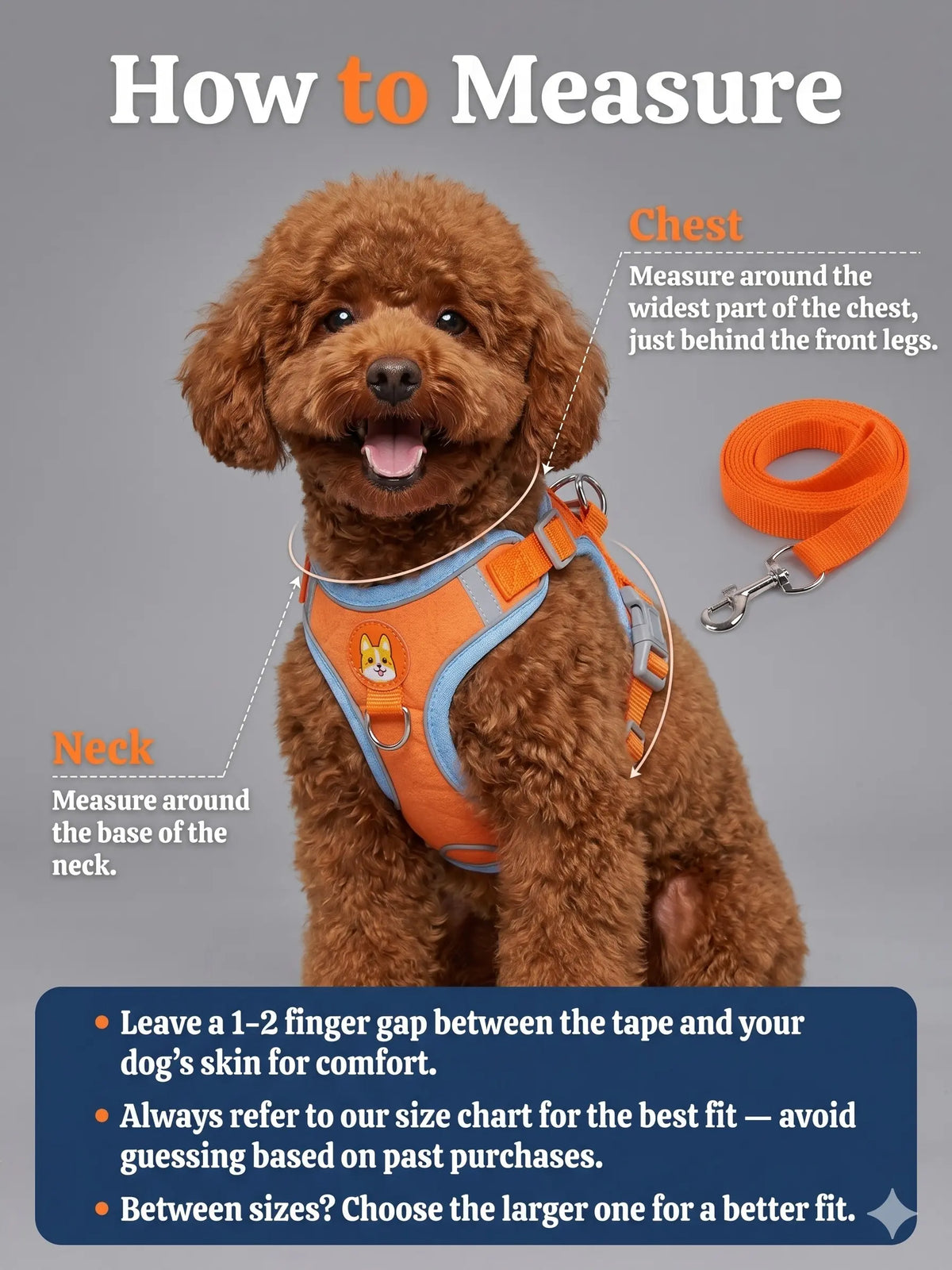 Adjustable Pet Harness and Leash Set - Soft Suede Vest with Durable Reflective Features for Tangle-Free Walking, Perfect for Daily and Nighttime Outdoor Activities