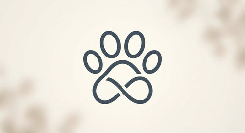 morethanapet.store