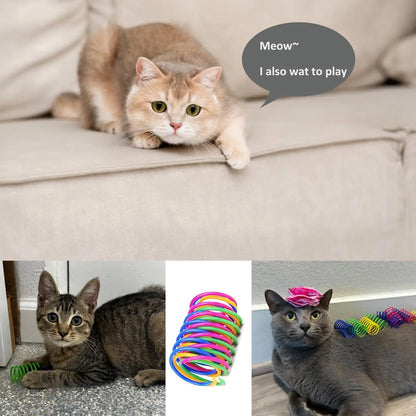 Interactive Indoor Cat Spring Toys - 12-Piece Engaging Bouncy Coil Set for Play and Stimulation