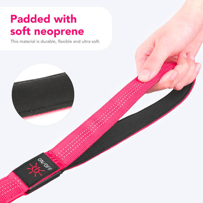 USB Rechargeable LED Illuminated Dog Leash (4ft, Pink)