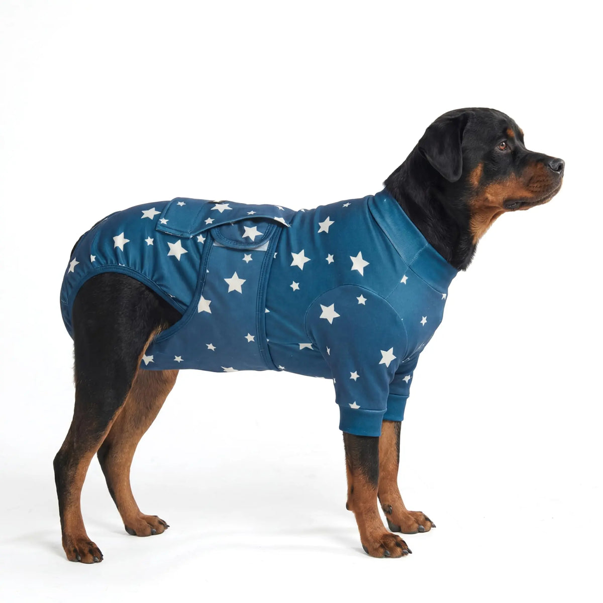 Spark Paws Dog Recovery Suit - Post-Surgery Onesie for Dogs, Anti-Lick Abdominal Wound Protector, Soft Alternative to Cone for Spay/Neuter Recovery, Donut Pattern, Size Small