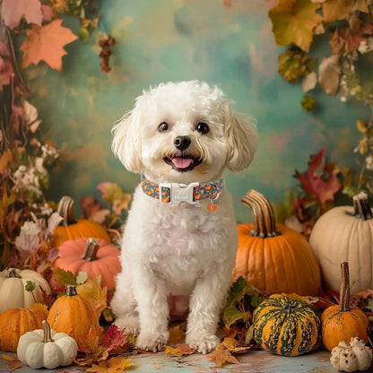 Amber Fall Pumpkin Cotton Dog Collar - Lightweight, Adjustable, and Durable with Plastic Buckle for Small Dogs, 5/8" Wide, Fits Necks 8-12", Chew Resistant, Hand Wash Only