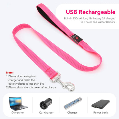USB Rechargeable LED Illuminated Dog Leash (4ft, Pink)