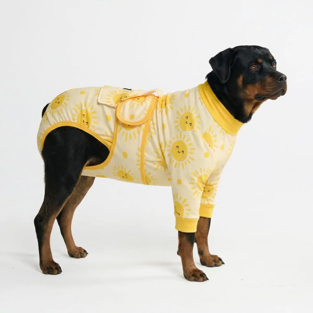 Spark Paws Dog Recovery Suit - Post-Surgery Onesie for Dogs, Anti-Lick Abdominal Wound Protector, Soft Alternative to Cone for Spay/Neuter Recovery, Donut Pattern, Size Small