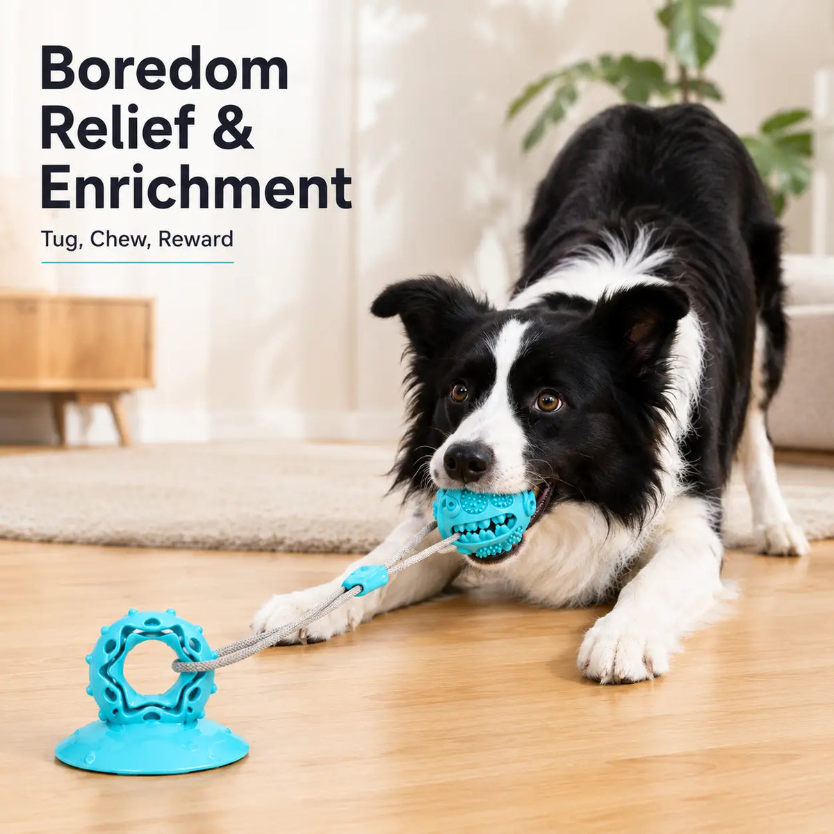 Durable Interactive Dog Chew Toy with Suction Cup and Treat Dispensing Features, TPR Teeth Cleaning Ball with Rope, Puzzle Feeder and Enrichment Toy for Puppies and Small to Medium Dogs, Ideal for Indoor Self-Play and Training