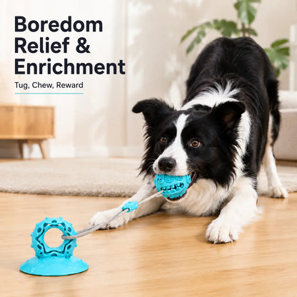 Durable Interactive Dog Chew Toy with Suction Cup and Treat Dispensing Features, TPR Teeth Cleaning Ball with Rope, Puzzle Feeder and Enrichment Toy for Puppies and Small to Medium Dogs, Ideal for Indoor Self-Play and Training