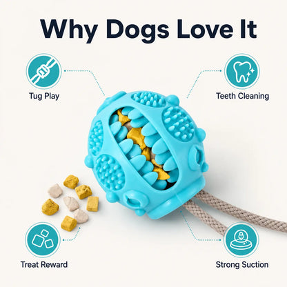 Durable Interactive Dog Chew Toy with Suction Cup and Treat Dispensing Features, TPR Teeth Cleaning Ball with Rope, Puzzle Feeder and Enrichment Toy for Puppies and Small to Medium Dogs, Ideal for Indoor Self-Play and Training