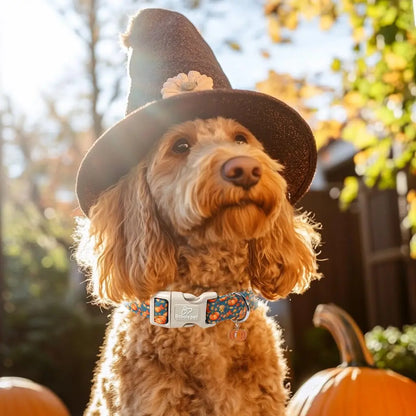 Amber Fall Pumpkin Cotton Dog Collar - Lightweight, Adjustable, and Durable with Plastic Buckle for Small Dogs, 5/8" Wide, Fits Necks 8-12", Chew Resistant, Hand Wash Only