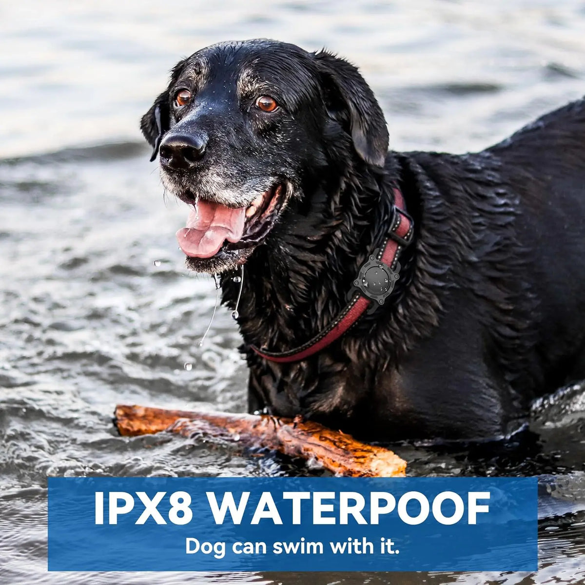 Premium Waterproof Airtag Holder for Dog Collars - Shockproof, Ultra-Durable Plastic and Silicone Protective Case