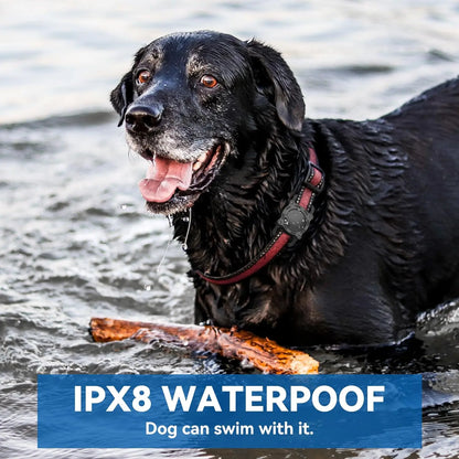 Premium Waterproof Airtag Holder for Dog Collars - Shockproof, Ultra-Durable Plastic and Silicone Protective Case