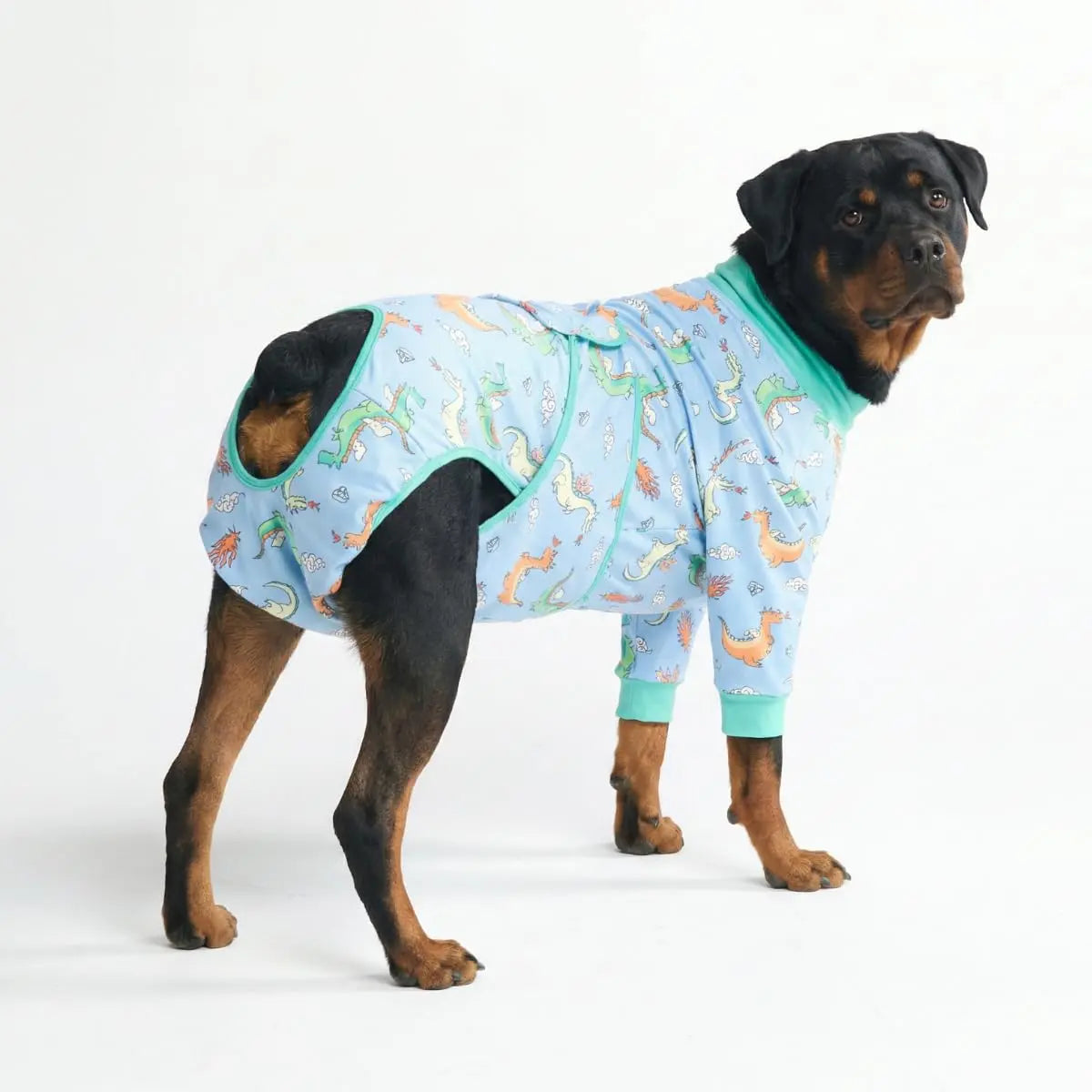 Spark Paws Dog Recovery Suit - Post-Surgery Onesie for Dogs, Anti-Lick Abdominal Wound Protector, Soft Alternative to Cone for Spay/Neuter Recovery, Donut Pattern, Size Small